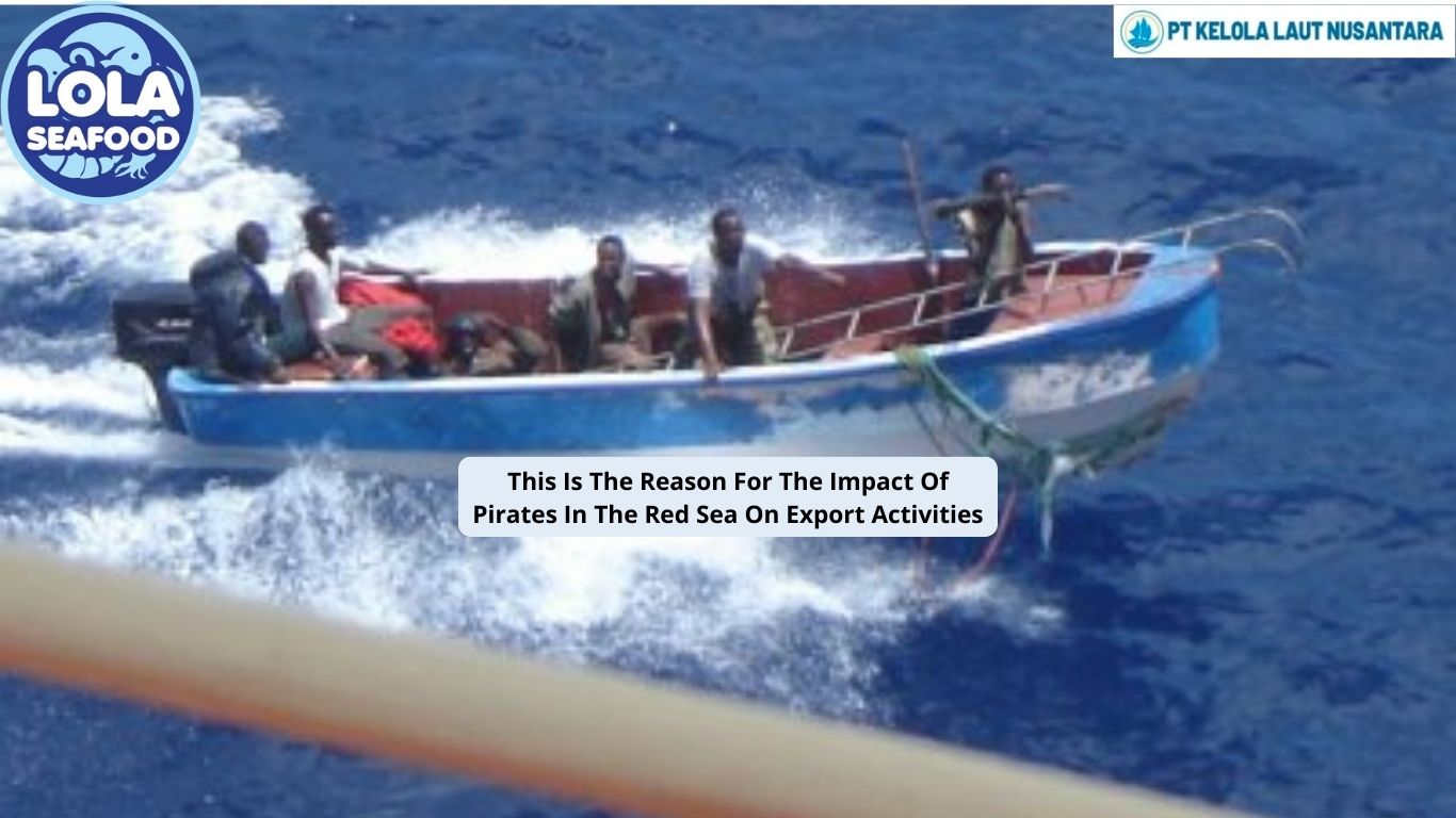 This Is The Reason For The Impact Of Pirates In The Red Sea On Export Activities